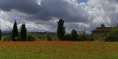 Montefollonico Tuscany Italy Toscana Italien Spring Fruehling Poppy Sea Art Photography Gallery - 014062 - 20-05-2013 - 20929x7108 Pixel Montefollonico Tuscany Italy Toscana Italien Spring Fruehling Poppy Sea Art Photography Gallery Fine Art Printing Senic Town Image Stock Barn Outlook Photo...