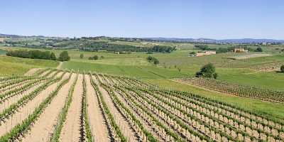 Montepulciano Tuscany Italy Toscana Italien Spring Fruehling Scenic Ice - 012946 - 17-05-2012 - 12124x4019 Pixel Montepulciano Tuscany Italy Toscana Italien Spring Fruehling Scenic Ice Fine Art Photography For Sale Photography Sunshine Fine Art Photography Prints For Sale...