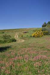 Montepulciano Tuscany Italy Toscana Italien Spring Fruehling Scenic Grass Senic Fine Art Pictures - 012951 - 17-05-2012 - 4131x6632 Pixel Montepulciano Tuscany Italy Toscana Italien Spring Fruehling Scenic Grass Senic Fine Art Pictures Fine Art Printing Images Order Modern Art Prints View Point...