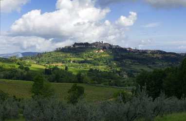 Montepulciano Tuscany Italy Toscana Italien Spring Fruehling Poppy Royalty Free Stock Photos Shore - 014057 - 20-05-2013 - 11010x7211 Pixel Montepulciano Tuscany Italy Toscana Italien Spring Fruehling Poppy Royalty Free Stock Photos Shore Modern Art Prints Fine Art Printer Photo Fine Art Stock...