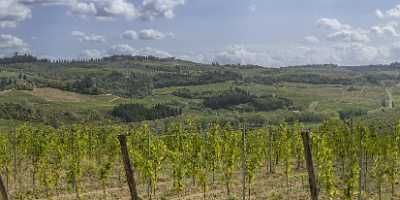 Montespertoli Tuscany Winery Panoramic Viepoint Lookout Hill Autumn Stock Images - 022764 - 12-09-2017 - 35898x7730 Pixel Montespertoli Tuscany Winery Panoramic Viepoint Lookout Hill Autumn Stock Images Art Photography For Sale Shore Stock Photos Fog Park Art Photography Gallery...