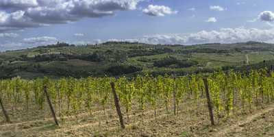 Montespertoli Tuscany Winery Panoramic Viepoint Lookout Hill Autumn Tree Coast - 022874 - 12-09-2017 - 16760x7400 Pixel Montespertoli Tuscany Winery Panoramic Viepoint Lookout Hill Autumn Tree Coast What Is Fine Art Photography Snow Fine Art Landscape Photography Fine Art...