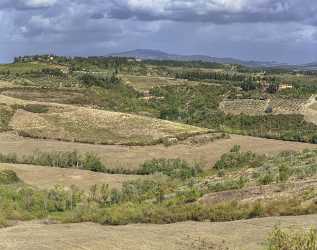 Montespertoli Tuscany Winery Panoramic Viepoint Lookout Hill Autumn Island Fine Art Shoreline River - 022880 - 12-09-2017 - 13287x10478 Pixel Montespertoli Tuscany Winery Panoramic Viepoint Lookout Hill Autumn Island Fine Art Shoreline River Famous Fine Art Photographers Royalty Free Stock Photos...