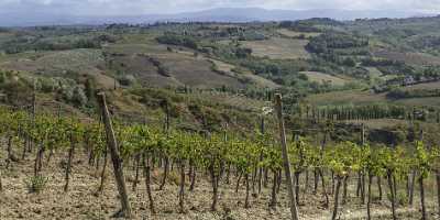 Montespertoli Tuscany Winery Panoramic Viepoint Lookout Hill Autumn City Art Printing - 022881 - 12-09-2017 - 31476x7780 Pixel Montespertoli Tuscany Winery Panoramic Viepoint Lookout Hill Autumn City Art Printing Fine Art Prints Beach Stock Photos Grass Winter Fine Art Print Photo Fine...