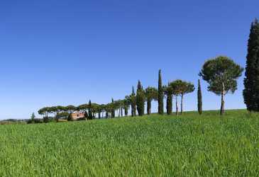 Monticchiello Hill Huegel Tuscany Italy Toscana Italien Spring Fine Art Giclee Printing Photography - 012955 - 17-05-2012 - 6473x4430 Pixel Monticchiello Hill Huegel Tuscany Italy Toscana Italien Spring Fine Art Giclee Printing Photography Fine Art Landscapes Autumn Fine Art Photographer Fine Art...