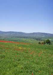 Monticchiello Hill Huegel Tuscany Italy Toscana Italien Spring Fine Art Posters - 012990 - 17-05-2012 - 4129x5880 Pixel Monticchiello Hill Huegel Tuscany Italy Toscana Italien Spring Fine Art Posters Photography Prints For Sale Modern Art Prints Fine Art Photography Prints For...