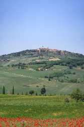 Monticchiello Hill Huegel Tuscany Italy Toscana Italien Spring Fine Art Posters Fine Art Landscape - 012991 - 17-05-2012 - 4110x9113 Pixel Monticchiello Hill Huegel Tuscany Italy Toscana Italien Spring Fine Art Posters Fine Art Landscape Rain Nature Fine Art Photos Pass Modern Art Print Park Stock...