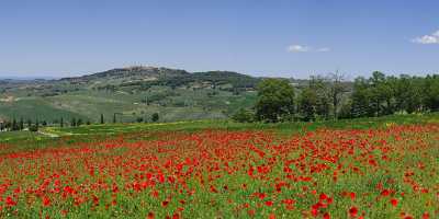 Monticchiello Hill Huegel Tuscany Italy Toscana Italien Spring Pass Summer Fine Art Autumn Order - 012993 - 17-05-2012 - 12000x4095 Pixel Monticchiello Hill Huegel Tuscany Italy Toscana Italien Spring Pass Summer Fine Art Autumn Order Prints For Sale Fine Art Pictures River Fine Art Print Tree...