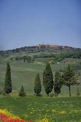 Monticchiello Hill Huegel Tuscany Italy Toscana Italien Spring Stock Photos Ice Animal - 012995 - 17-05-2012 - 4152x7009 Pixel Monticchiello Hill Huegel Tuscany Italy Toscana Italien Spring Stock Photos Ice Animal Modern Art Print Snow Hi Resolution Pass Summer Fine Art Photo Barn Fine...