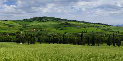 Monticciello Tuscany Italy Toscana Italien Spring Fruehling Scenic Country Road - 013992 - 18-05-2013 - 19636x6911 Pixel Monticciello Tuscany Italy Toscana Italien Spring Fruehling Scenic Country Road Art Photography Gallery Art Prints Landscape Stock Photos Fine Art Print Summer...