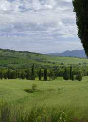 Monticciello Tuscany Italy Toscana Italien Spring Fruehling Scenic Prints For Sale - 013994 - 18-05-2013 - 7124x9866 Pixel Monticciello Tuscany Italy Toscana Italien Spring Fruehling Scenic Prints For Sale Fine Art Giclee Printing Fine Art Print Fine Art Landscapes Fine Art Posters...