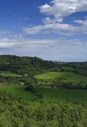 Monticciello Tuscany Italy Toscana Italien Spring Fruehling Scenic Forest Sale Photography - 013995 - 18-05-2013 - 6935x10081 Pixel Monticciello Tuscany Italy Toscana Italien Spring Fruehling Scenic Forest Sale Photography Fine Art Photographers Beach Fine Arts Photography Fine Art...