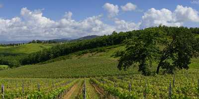 Montisi Tuscany Italy Toscana Italien Spring Fruehling Scenic Fine Art Photographers Photo Fine Art - 016628 - 20-05-2013 - 28558x6769 Pixel Montisi Tuscany Italy Toscana Italien Spring Fruehling Scenic Fine Art Photographers Photo Fine Art Royalty Free Stock Photos Fine Art Printer Rock Prints For...