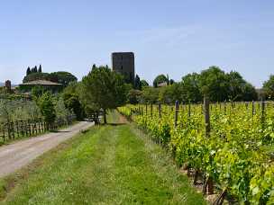 Poggio alle Mura