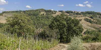 Pomarance Chianti Tuscany Winery Panoramic Viepoint Lookout Hill Fine Art Photos Photo Fine Art - 022830 - 14-09-2017 - 22472x7627 Pixel Pomarance Chianti Tuscany Winery Panoramic Viepoint Lookout Hill Fine Art Photos Photo Fine Art Landscape Prints For Sale Fine Arts Fine Art Print Nature Animal...