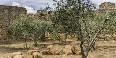 San Gimignano Old Town Tower Tuscany Winery Panoramic Fine Art Printer Fine Art Photography - 022898 - 11-09-2017 - 21745x7393 Pixel San Gimignano Old Town Tower Tuscany Winery Panoramic Fine Art Printer Fine Art Photography Art Prints For Sale Snow Photography Prints For Sale Shore Fine Art...