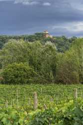 San Giovanni A Corazzano Tuscany Winery Panoramic Viepoint Snow River Fine Art Giclee Printing - 022883 - 11-09-2017 - 7743x21391 Pixel San Giovanni A Corazzano Tuscany Winery Panoramic Viepoint Snow River Fine Art Giclee Printing Outlook Fine Art Art Prints Stock Photos Fine Arts Photography...