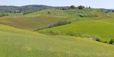 Trequanda Tuscany Italy Toscana Italien Spring Fruehling Scenic Fine Art Print Modern Art Print - 012767 - 18-05-2012 - 17254x4747 Pixel Trequanda Tuscany Italy Toscana Italien Spring Fruehling Scenic Fine Art Print Modern Art Print Fine Art Posters Island Fine Arts Photography Photo Fine Art...