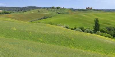 Trequanda Tuscany Italy Toscana Italien Spring Fruehling Scenic Art Prints View Point - 012771 - 18-05-2012 - 13587x4181 Pixel Trequanda Tuscany Italy Toscana Italien Spring Fruehling Scenic Art Prints View Point Art Photography For Sale Fine Art Photography Prints For Sale Autumn Fine...