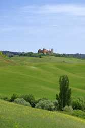 Trequanda Tuscany Italy Toscana Italien Spring Fruehling Scenic Rock Creek Forest - 012772 - 18-05-2012 - 4836x8654 Pixel Trequanda Tuscany Italy Toscana Italien Spring Fruehling Scenic Rock Creek Forest Fine Art Photographers Fine Art Photography Fine Art Landscapes Fine Art...