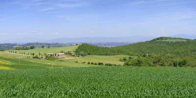 Trequanda Tuscany Italy Toscana Italien Spring Fruehling Scenic View Point Autumn - 012849 - 12-05-2012 - 20034x4721 Pixel Trequanda Tuscany Italy Toscana Italien Spring Fruehling Scenic View Point Autumn Fine Art Photography For Sale Fine Art Printer Fine Art Fine Art Landscape...