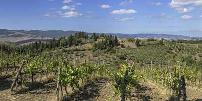 Volterra Old Town Tuscany Winery Panoramic Viepoint Lookout Stock Pictures Forest Lake Grass - 022833 - 14-09-2017 - 18740x7631 Pixel Volterra Old Town Tuscany Winery Panoramic Viepoint Lookout Stock Pictures Forest Lake Grass Fine Art Photographer Island Royalty Free Stock Images Fine Art...