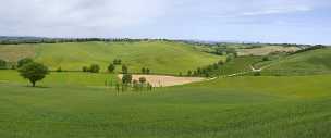 Buonconvento Buonconvento - Tuscany - Toscana - Toskana - Italy - Hill - Hügel - Spring - Color - Colorful - Outlook - Overlook -...