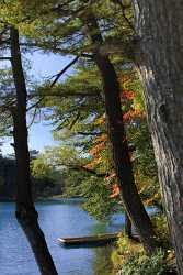 Bishamon Numa Pond Goshiki Volcanic Lakes Bandai Fine Art Photographer Mountain Prints For Sale - 016270 - 13-10-2008 - 3835x6893 Pixel Bishamon Numa Pond Goshiki Volcanic Lakes Bandai Fine Art Photographer Mountain Prints For Sale Fine Art Print Shore Snow Western Art Prints For Sale Fine Art...