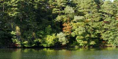 Yanagi Numa Pond Goshiki Volcanic Lakes Bandai Fine Art Fotografie Panoramic Art Prints Barn - 016285 - 13-10-2008 - 8616x3964 Pixel Yanagi Numa Pond Goshiki Volcanic Lakes Bandai Fine Art Fotografie Panoramic Art Prints Barn Landscape Photography Mountain Photography Prints For Sale Coast...