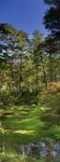 Tatsu Numa Tatsu Numa - Panoramic - Landscape - Photography - Photo - Print - Nature - Stock Photos - Images - Fine Art Prints -...