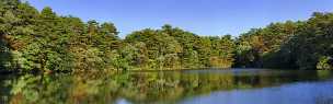 Yanagi Numa Yanagi Numa - Panoramic - Landscape - Photography - Photo - Print - Nature - Stock Photos - Images - Fine Art Prints -...