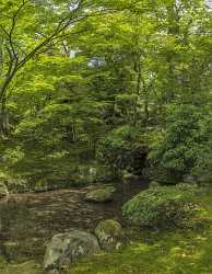 Kanazawa Kenruku En Park Plants Trees Cloudy Sky Rain Landscape Photography Fine Art Posters - 024020 - 16-05-2016 - 7413x9539 Pixel Kanazawa Kenruku En Park Plants Trees Cloudy Sky Rain Landscape Photography Fine Art Posters Royalty Free Stock Photos Snow Fine Art Photography For Sale...