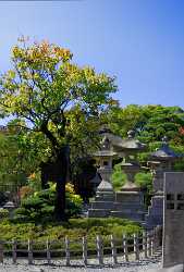 Nagano Zenkoji Temple Autumn Viewpoint Panorama Photo Panoramic Lake Fine Art Nature Photography - 013736 - 28-10-2013 - 4775x7070 Pixel Nagano Zenkoji Temple Autumn Viewpoint Panorama Photo Panoramic Lake Fine Art Nature Photography Photo Fine Art Fine Art Photography Gallery Fine Arts Tree...