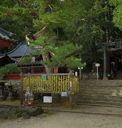 Chugushi Nikko Temple Lake Chuzenji Autumn Viewpoint Panorama Landscape Photography Shoreline - 013818 - 17-10-2013 - 6891x7204 Pixel Chugushi Nikko Temple Lake Chuzenji Autumn Viewpoint Panorama Landscape Photography Shoreline Mountain Tree Cloud Fine Arts Grass Fine Art Giclee Printing...