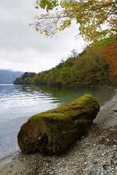 Chuzenji Lake Chugushi Nikko Forest Autumn Viewpoint Panorama Animal Fine Art Printing - 013842 - 18-10-2013 - 6863x10930 Pixel Chuzenji Lake Chugushi Nikko Forest Autumn Viewpoint Panorama Animal Fine Art Printing Hi Resolution Fine Arts Photography Creek Photo Fine Art Art Prints For...