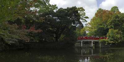 Omjia Hikawa Jinjya Shrine In Autumn Saitama Japan Photography Fine Art Photo Park Fine Art America - 016510 - 19-10-2008 - 11293x4072 Pixel Omjia Hikawa Jinjya Shrine In Autumn Saitama Japan Photography Fine Art Photo Park Fine Art America Modern Wall Art What Is Fine Art Photography Images Mountain...