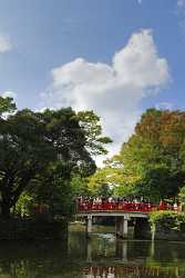 Omjia Hikawa Jinjya Shrine In Autumn Saitama Japan Forest Art Photography For Sale Sea - 016512 - 19-10-2008 - 4251x7684 Pixel Omjia Hikawa Jinjya Shrine In Autumn Saitama Japan Forest Art Photography For Sale Sea Photography Prints For Sale Summer Snow Rain Prints For Sale Fine Art...