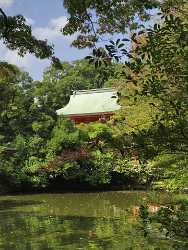 Omjia Hikawa Jinjya Shrine In Autumn Saitama Japan Sea Nature Fine Art Prints Sale Country Road - 016513 - 19-10-2008 - 4193x5591 Pixel Omjia Hikawa Jinjya Shrine In Autumn Saitama Japan Sea Nature Fine Art Prints Sale Country Road Order Stock Photos View Point Tree Fine Art America Photography...