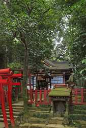 Omjia Hikawa Jinjya Shrine In Autumn Saitama Japan Nature Images Art Photography Gallery - 016518 - 19-10-2008 - 4142x6132 Pixel Omjia Hikawa Jinjya Shrine In Autumn Saitama Japan Nature Images Art Photography Gallery Royalty Free Stock Photos Fine Art Giclee Printing Summer What Is Fine...