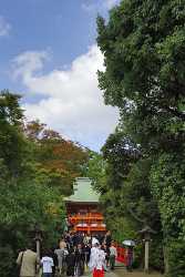 Omjia Hikawa Jinjya Shrine Wedding In Autumn Saitama Spring Fine Art Photography Gallery - 016537 - 19-10-2008 - 3980x7219 Pixel Omjia Hikawa Jinjya Shrine Wedding In Autumn Saitama Spring Fine Art Photography Gallery Fine Art Foto Fine Art Lake Fine Art Printer Art Prints Island Fine Art...