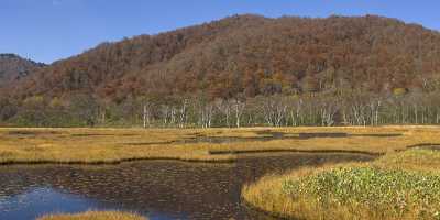 Oze Gahara Marshland Nationalpark Katashina Mura Autumn Fine Art Giclee Printing - 016086 - 21-10-2008 - 14249x4102 Pixel Oze Gahara Marshland Nationalpark Katashina Mura Autumn Fine Art Giclee Printing Fine Art Fotografie Beach River Country Road View Point Fine Art Photography...