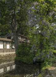 Shirakawa Village Traditional Japanese House Garden Park Blue Fine Art Photographers Hi Resolution - 024115 - 17-05-2016 - 7586x10411 Pixel Shirakawa Village Traditional Japanese House Garden Park Blue Fine Art Photographers Hi Resolution Shore Cloud Grass Country Road Art Photography For Sale Fine...