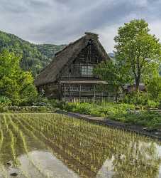 Shirakawa Village Traditional Japanese House Garden Park Blue Summer Photography Prints For Sale - 024117 - 17-05-2016 - 7233x7977 Pixel Shirakawa Village Traditional Japanese House Garden Park Blue Summer Photography Prints For Sale Hi Resolution Image Stock Leave Art Photography For Sale Fine...