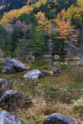 Dsc5035 Outlook Creek Fine Art Print Landscape Fine Art Photographers Cloud Beach - 015870 - 00-10-2013 - 4912x7360 Pixel Dsc5035 Outlook Creek Fine Art Print Landscape Fine Art Photographers Cloud Beach Fine Art Photographer Grass Fine Art Pictures Island Fine Art Photography...