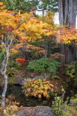 Autumn Colors Autumn Colors - Panoramic - Landscape - Photography - Photo - Print - Nature - Stock Photos - Images - Fine Art Prints -...