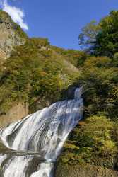 Taigo Ibaraki Fukuroda Waterfall Autumn Viewpoint Panorama Photo Western Art Prints For Sale - 013959 - 30-10-2013 - 6620x13577 Pixel Taigo Ibaraki Fukuroda Waterfall Autumn Viewpoint Panorama Photo Western Art Prints For Sale Fine Art Nature Photography Cloud Order Fine Arts Flower Landscape...