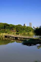 Tokyo Hamarikyu Park Skyline Pond Viewpoint Panorama Photo Modern Art Prints Fine Arts Photography - 013652 - 27-10-2013 - 4549x7659 Pixel Tokyo Hamarikyu Park Skyline Pond Viewpoint Panorama Photo Modern Art Prints Fine Arts Photography Animal Order Grass Fine Art Foto Fine Art Landscapes Fine Art...