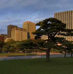 Tokyo Chioda Palace Kokyo Gaien Down Town Autumn Stock Images Spring Art Photography For Sale - 013777 - 14-10-2013 - 6254x6341 Pixel Tokyo Chioda Palace Kokyo Gaien Down Town Autumn Stock Images Spring Art Photography For Sale Fine Art Fotografie Senic Pass Snow Rain Image Stock Fine Art Foto...