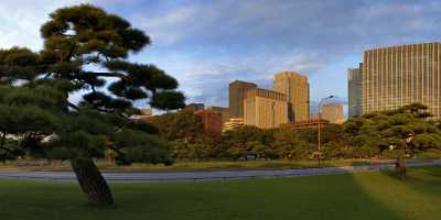 Tokyo Chioda Palace Kokyo Gaien Down Town Autumn Flower Sunshine Fine Art Landscape Photography - 013778 - 14-10-2013 - 13661x6304 Pixel Tokyo Chioda Palace Kokyo Gaien Down Town Autumn Flower Sunshine Fine Art Landscape Photography Spring Fine Art Photography Prints For Sale Winter Stock Fine...