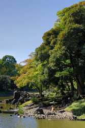 Tokyo Korakuen Park Down Town Autumn Viewpoint Panorama Fine Art Photography Gallery Art Printing - 013597 - 27-10-2013 - 4793x7670 Pixel Tokyo Korakuen Park Down Town Autumn Viewpoint Panorama Fine Art Photography Gallery Art Printing Island Fine Art Print Photo Flower Grass Fine Art Giclee...